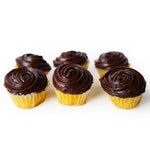 Vegan Chocolate Frosting - Currently Out Of Stock